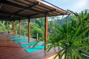 villa sagitta yoga 01